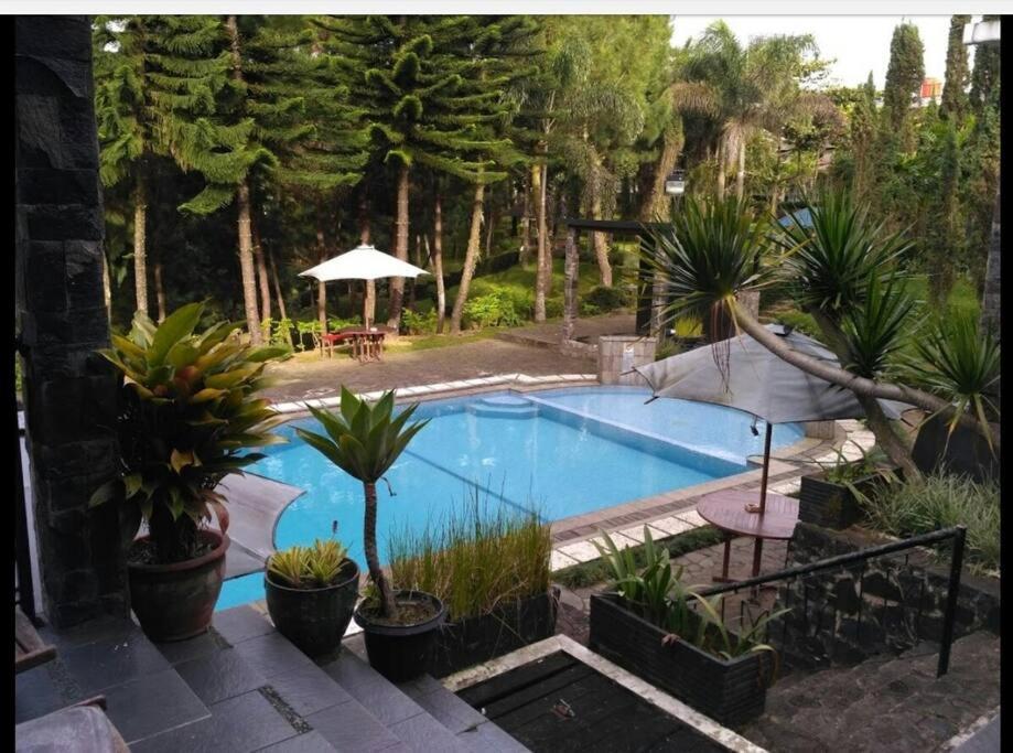 Utama Yedidah Villa Bogor