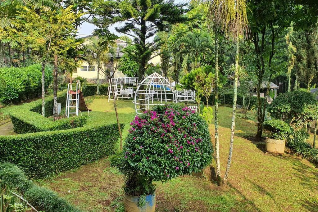Utama Yedidah * Bogor